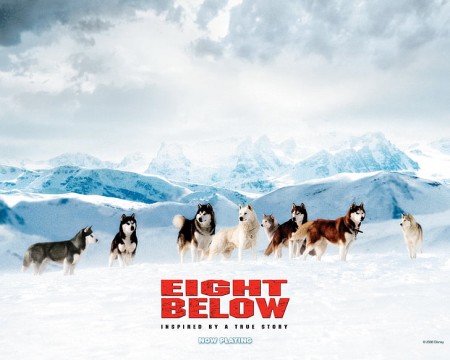 Những Chú Chó Dũng Cảm - Eight Below