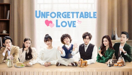 Nỗi Vương Vấn Của Hạ Tiên Sinh - Unforgettable Love