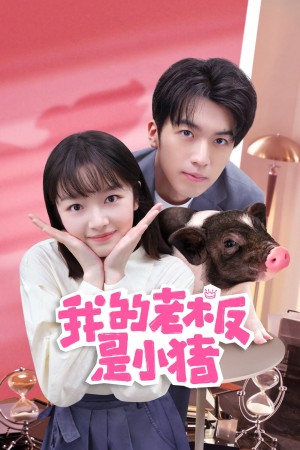 Sếp Của Tôi Là Chú Lợn Nhỏ - My Piggy Boss (2024)