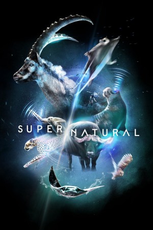 Super/Natural - Super/Natural (2022)